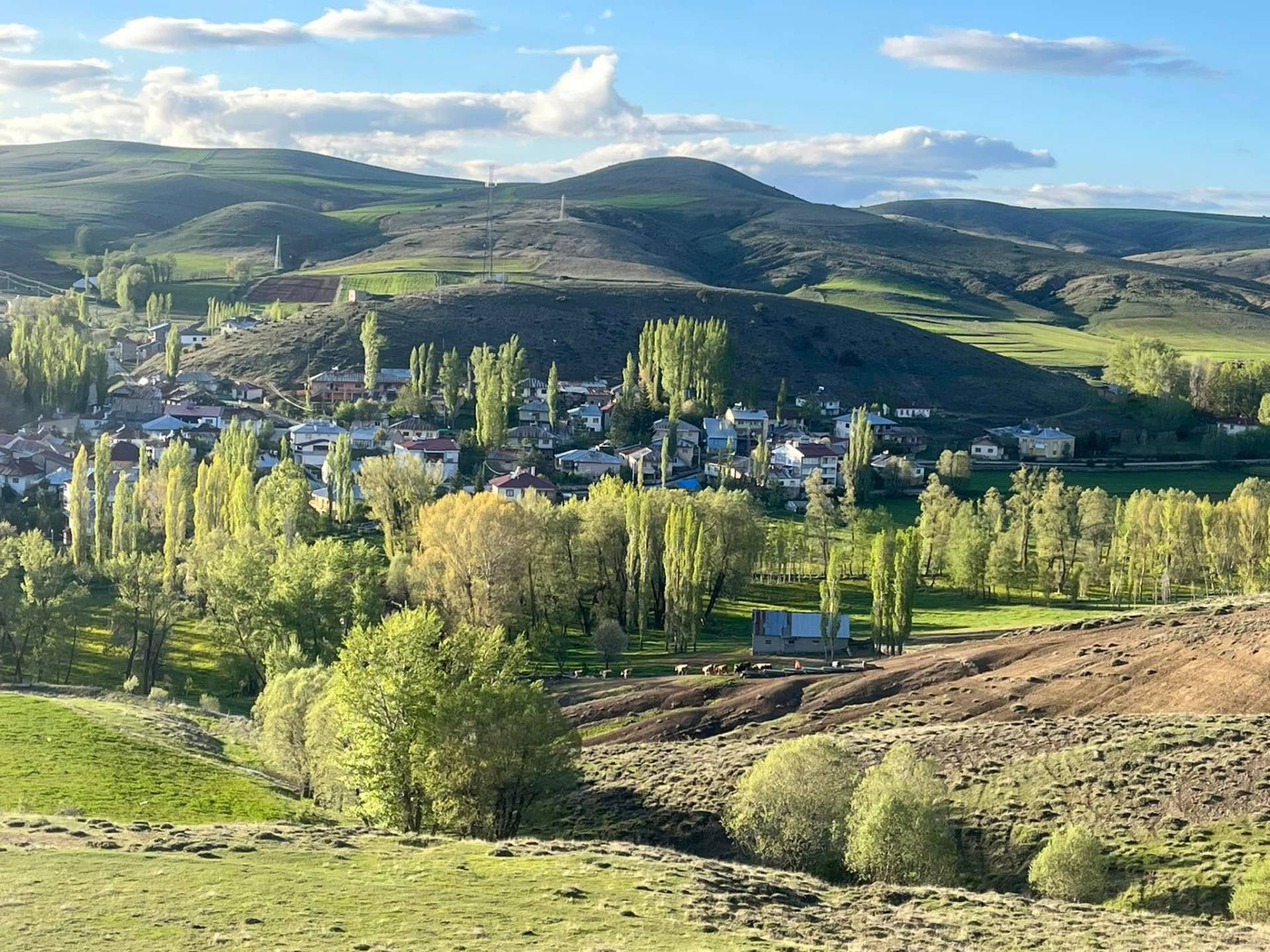 Kümbet Köyü kare 38