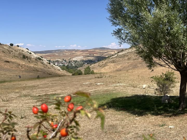 Kümbet Köyü kare 20