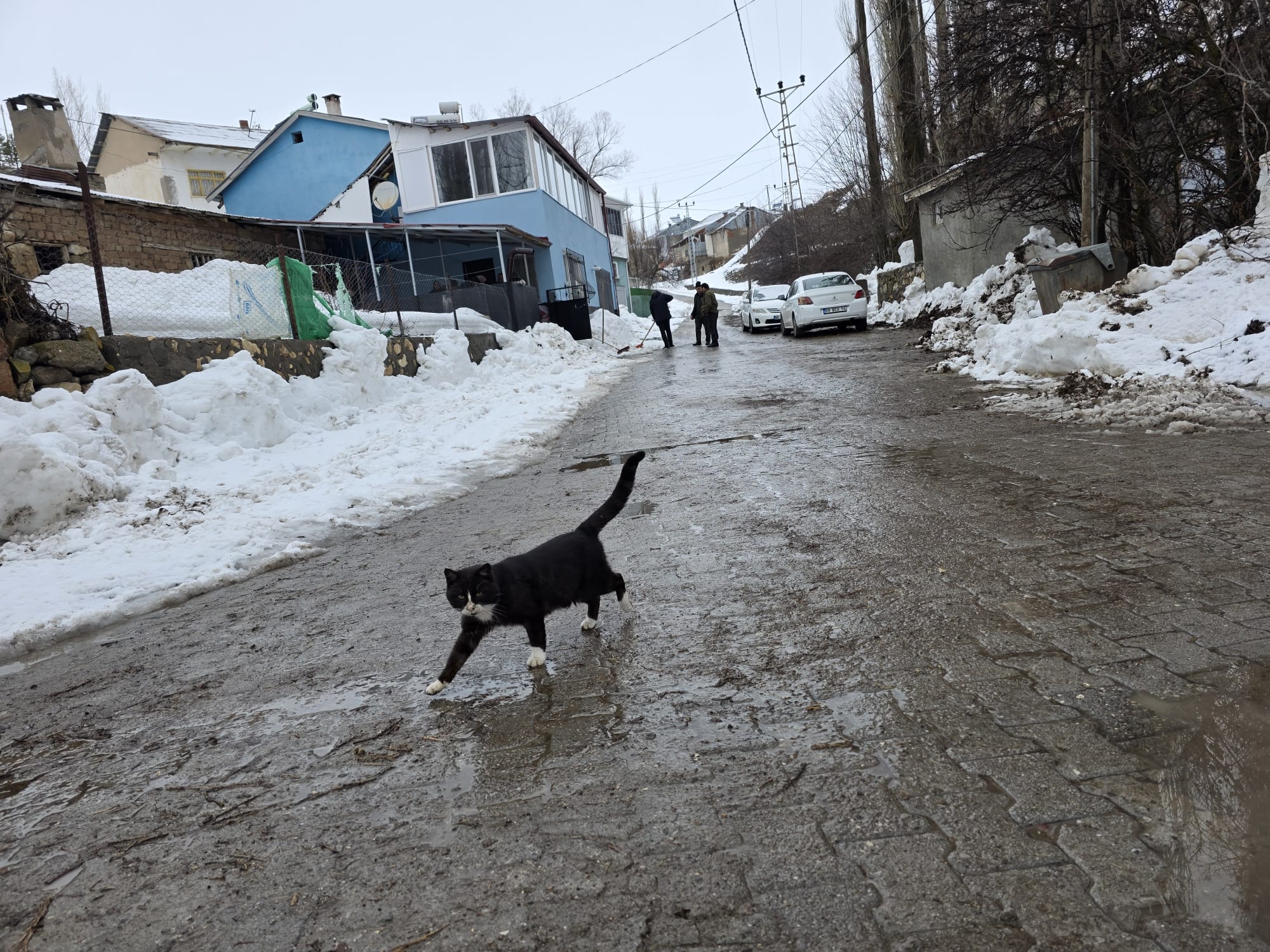 Kümbet Köyü kare 8